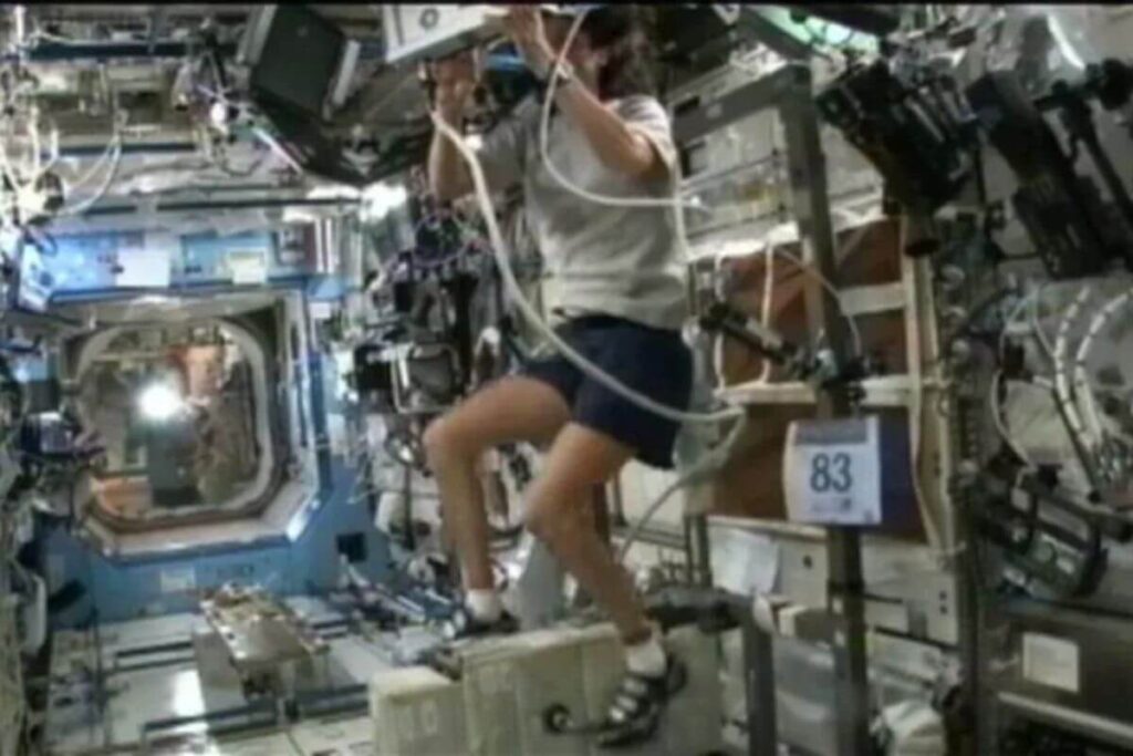 In 2012 Expedition 33 Commander Sunita Williams participated in the Malibu Triathlon from space